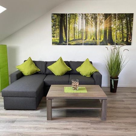 Ferienwohnung Frieda Mit Ueberdachtem Balkon Winterberg Eksteriør billede